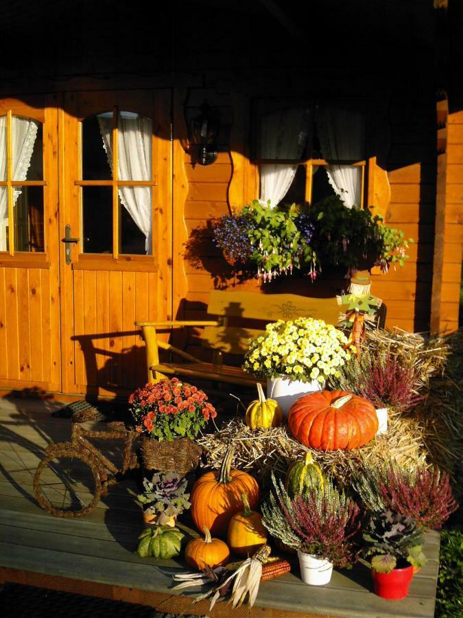 Landhaus Stremme Willingen  Exterior foto